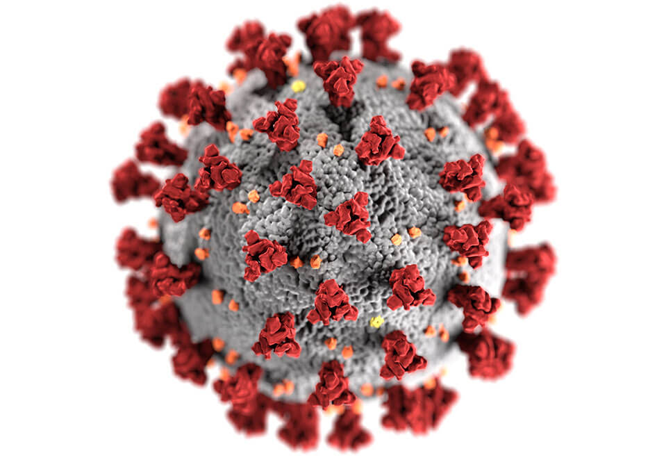 Coronavirus (COVID-19) Information